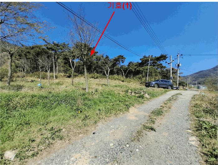 울산광역시 울주군 두서면 차리 산110-1 임야 경매 사진 3