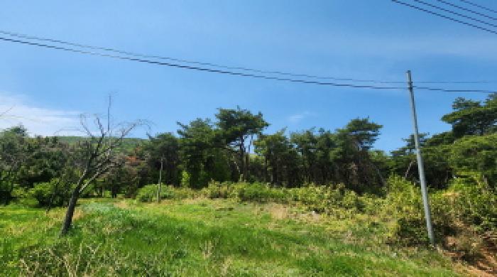 울산광역시 울주군 두서면 차리 산110-1 임야 경매 사진 5