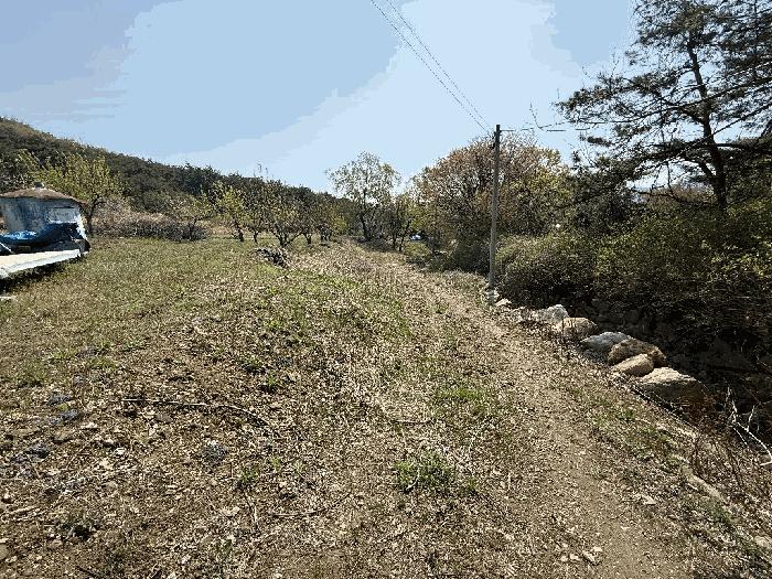 경상남도 양산시 하북면 지산리 439 답 경매 사진 1