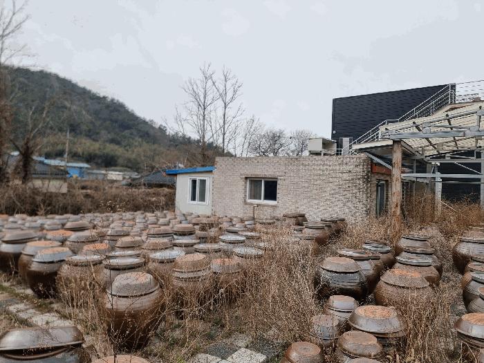 전라남도 나주시 봉황면 운곡리 175 답 경매 사진 12