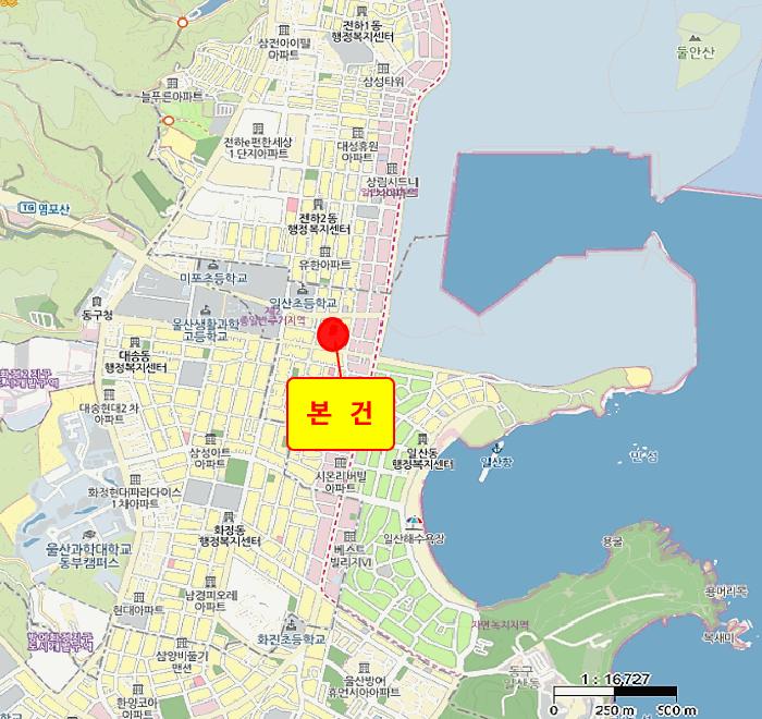울산광역시 동구 일산동 462-8 주택 경매 사진 21