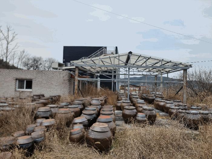 전라남도 나주시 봉황면 운곡리 196 대지 경매 사진 17