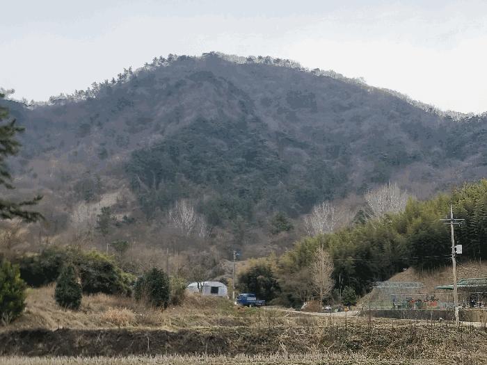 전라남도 나주시 봉황면 운곡리 196 대지 경매 사진 2
