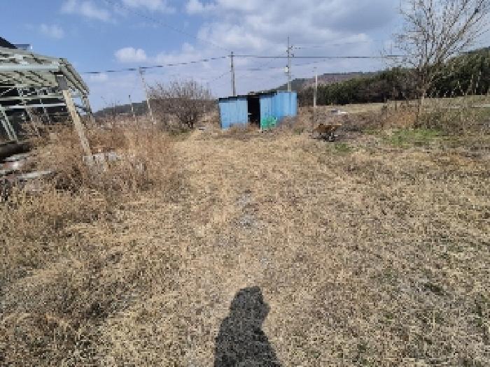 전라남도 나주시 봉황면 운곡리 산136 임야 경매 사진 22