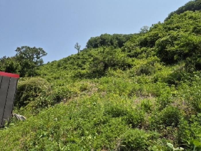 전라남도 담양군 대덕면 용대리 72 전 경매 사진 8