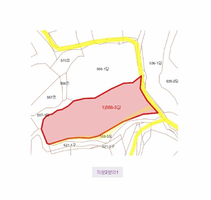 경상남도 김해시 대동면 주중리 558-3 답 경매 사진 13