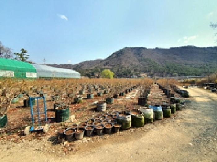 경상남도 김해시 대동면 주중리 558-3 답 경매 사진 6