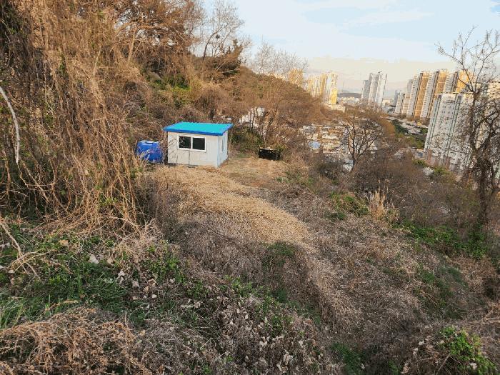 경상남도 창원시 진해구 안골동 126 전 경매 사진 4