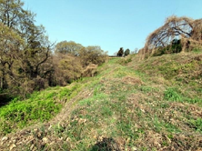경상남도 창원시 진해구 안골동 126 전 경매 사진 5