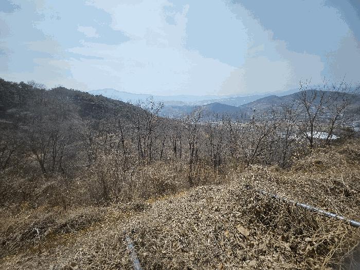 경상북도 청도군 화양읍 삼신리 1011 근린시설 경매 사진 3