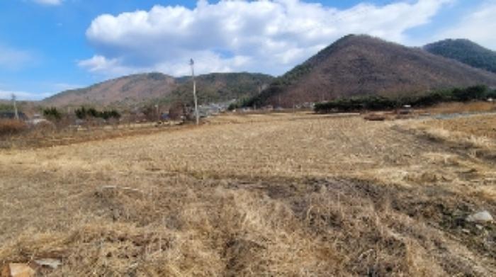 경상남도 함안군 산인면 송정리 245-1 답 경매 사진 10