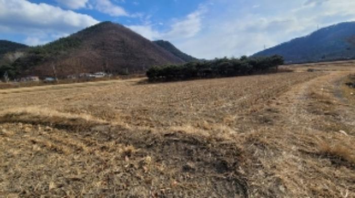 경상남도 함안군 산인면 송정리 245-1 답 경매 사진 14