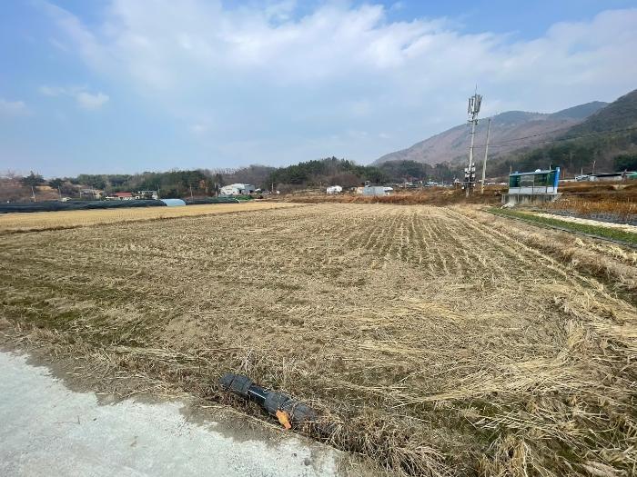 경상남도 함안군 산인면 송정리 245-1 답 경매 사진 2