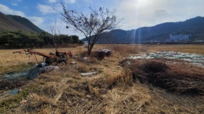 경상남도 함안군 산인면 송정리 252-1 답 경매 사진 11