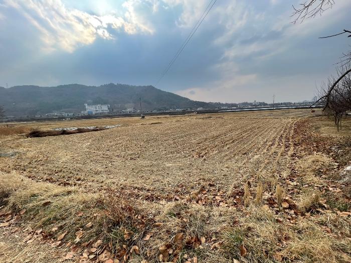 경상남도 함안군 산인면 송정리 252-1 답 경매 사진 3