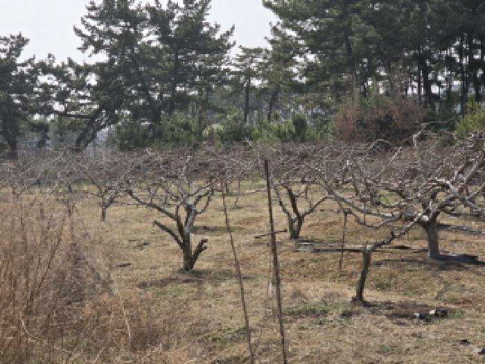 대구광역시 동구 신암동 649-6 근린주택 경매 사진 19