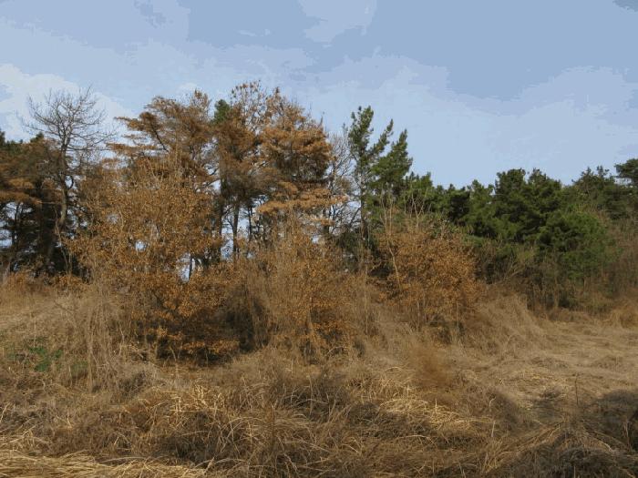 대구광역시 동구 신암동 649-6 근린주택 경매 사진 9
