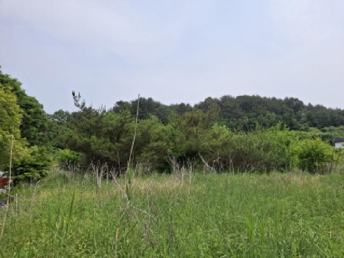대전광역시 동구 비룡동 71 전 경매 사진 14