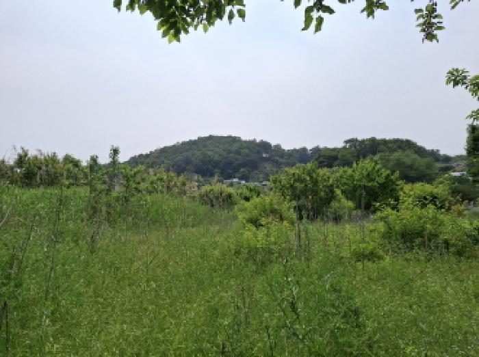 대전광역시 동구 비룡동 71 전 경매 사진 16