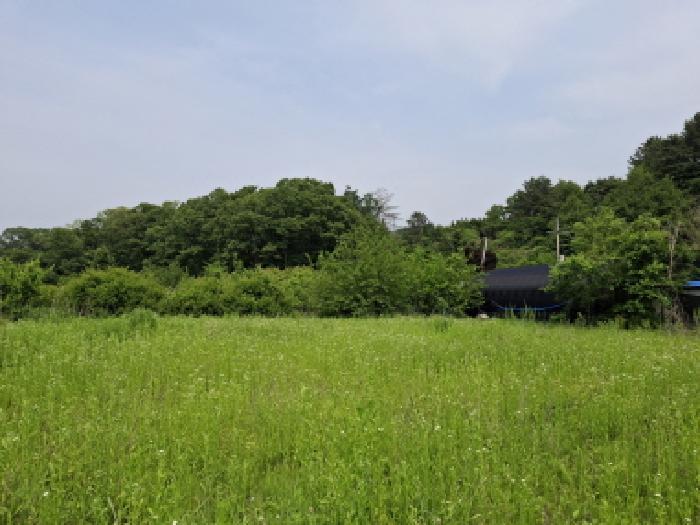 대전광역시 동구 비룡동 71 전 경매 사진 17