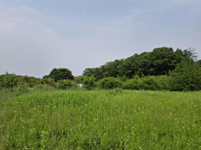 대전광역시 동구 비룡동 71 전 경매 사진 18