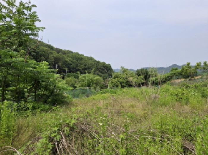 대전광역시 동구 비룡동 71 전 경매 사진 23