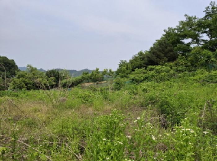 대전광역시 동구 비룡동 71 전 경매 사진 24
