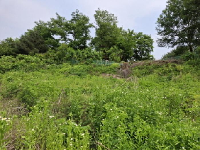 대전광역시 동구 비룡동 71 전 경매 사진 25