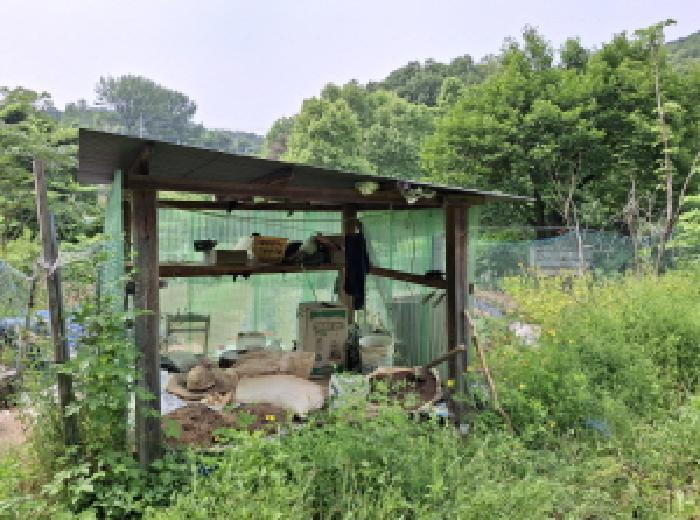 대전광역시 동구 비룡동 71 전 경매 사진 30