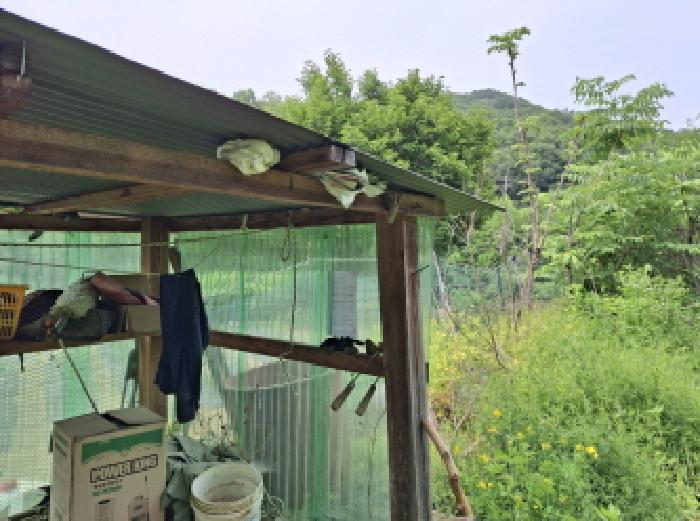 대전광역시 동구 비룡동 71 전 경매 사진 31