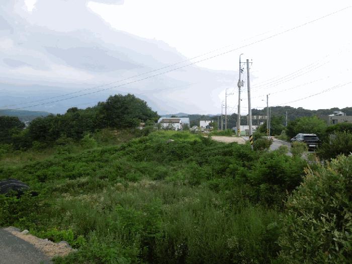 세종특별자치시 장군면 봉안리 216-7 임야 경매 사진 3