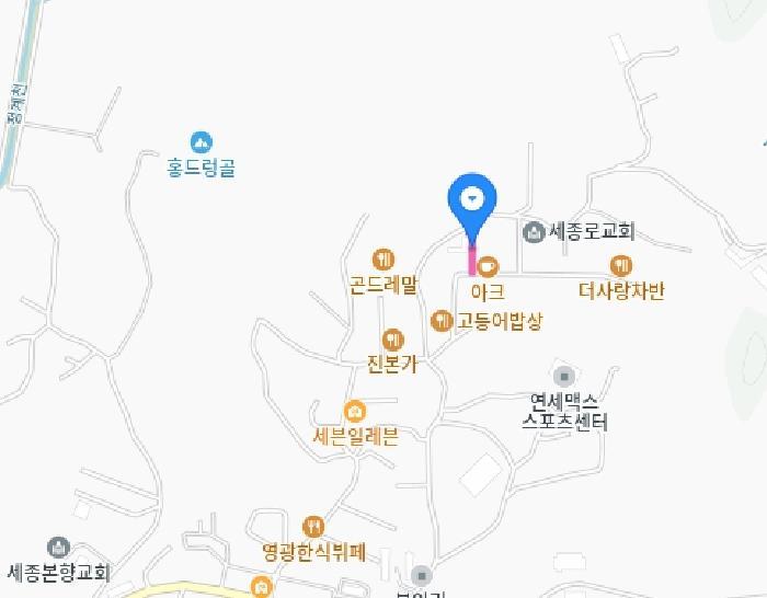 세종특별자치시 장군면 봉안리 216-7 임야 경매 사진 49