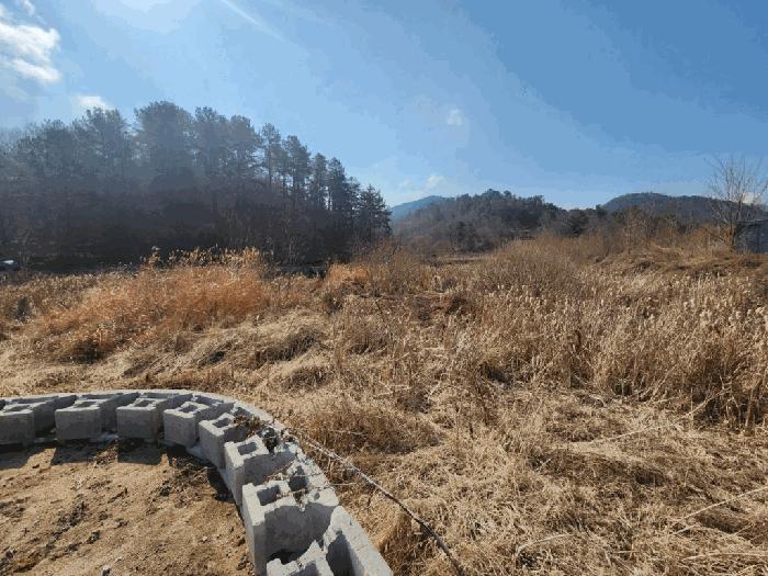 경상남도 함안군 산인면 입곡리 951 답 경매 사진 1