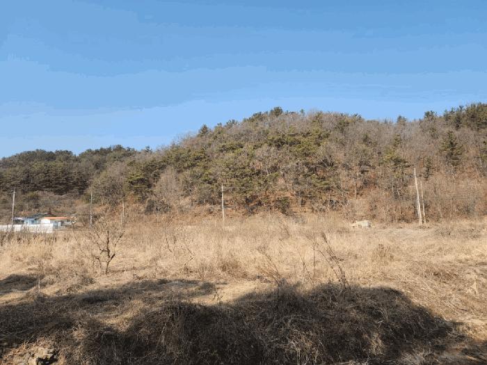 경상남도 함안군 산인면 입곡리 951 답 경매 사진 4