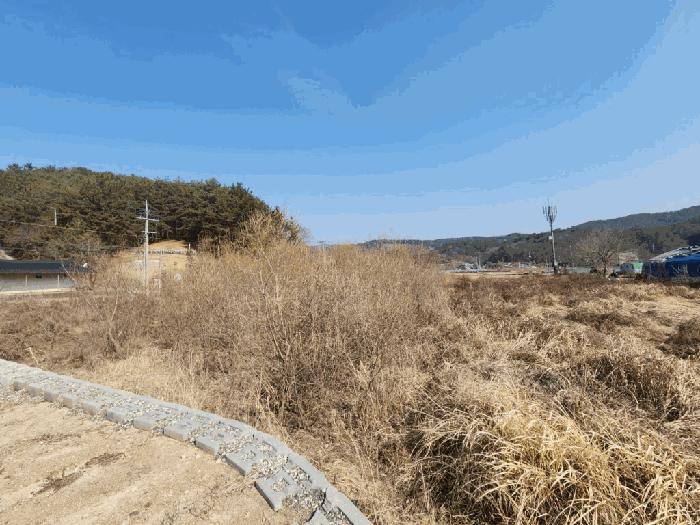 경상남도 함안군 산인면 입곡리 951-4 답 경매 사진 6