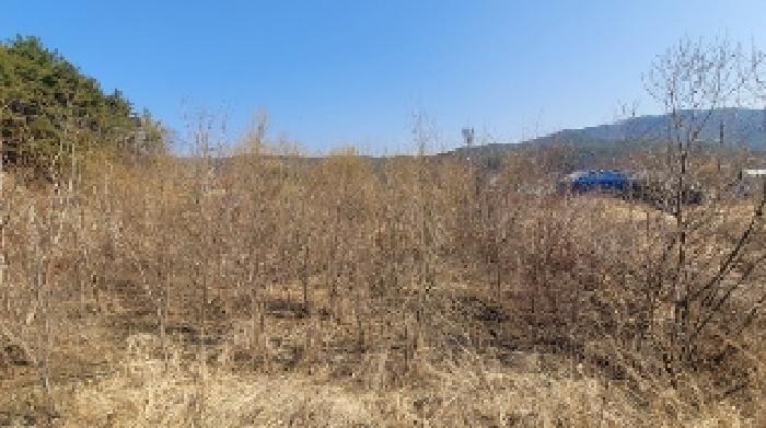 경상남도 함안군 산인면 입곡리 1048-1 답 경매 사진 13