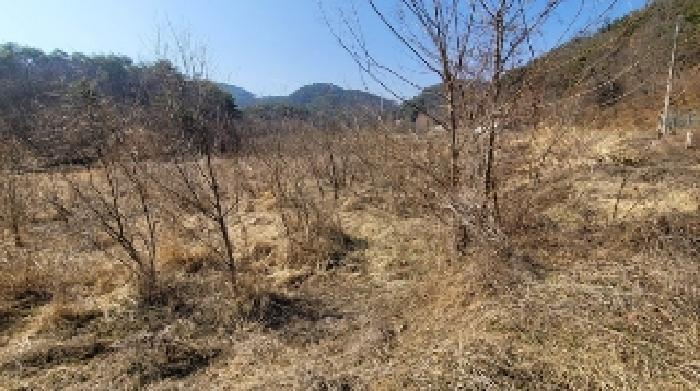 경상남도 함안군 산인면 입곡리 874-1 답 경매 사진 16