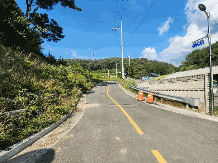 세종특별자치시 장군면 대교리 산6-26 임야 경매 사진 5