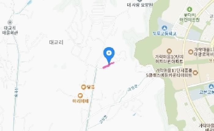 세종특별자치시 장군면 대교리 산6-26 임야 경매 사진 68