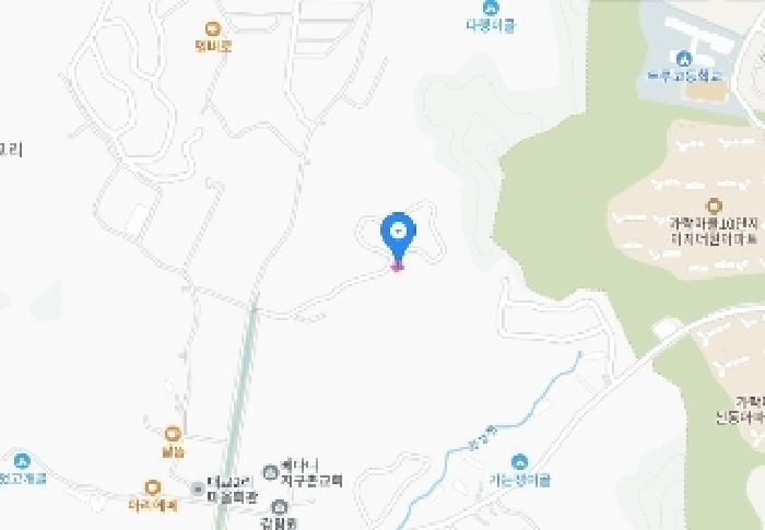 세종특별자치시 장군면 대교리 산6-26 임야 경매 사진 69