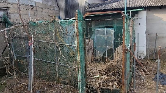 경상남도 함안군 산인면 운곡리 302-1 대지 경매 사진 4