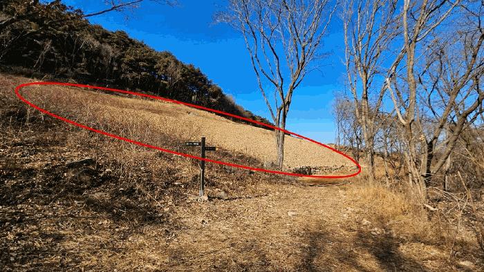 경상남도 함안군 여항면 주서리 1089-1 과수원 경매 사진 10