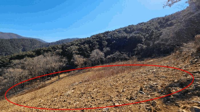 경상남도 함안군 여항면 주서리 1089-1 과수원 경매 사진 9