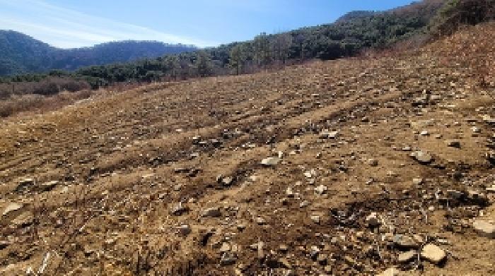 경상남도 함안군 여항면 주서리 1090 과수원 경매 사진 11