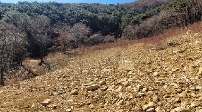 경상남도 함안군 여항면 주서리 1090 과수원 경매 사진 13