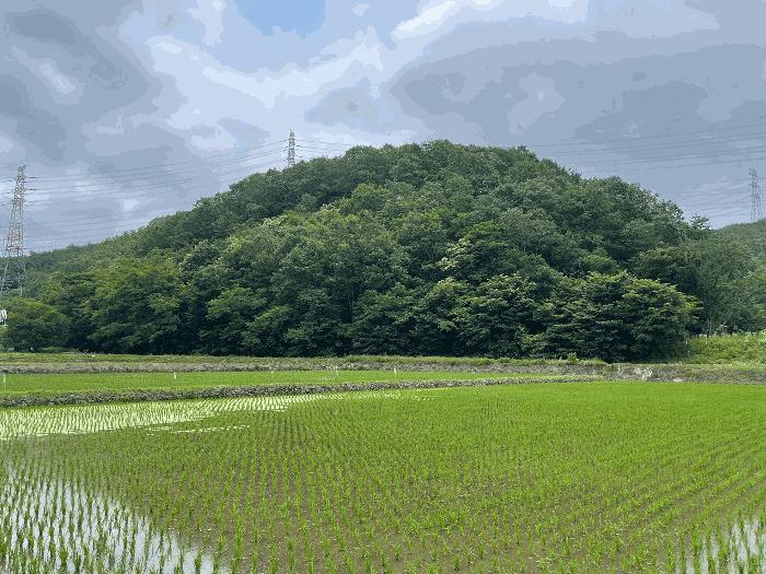 경상남도 의령군 임야