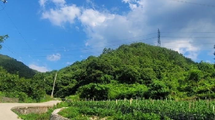 경상남도 의령군 대의면 심지리 산119 임야 경매 사진 18
