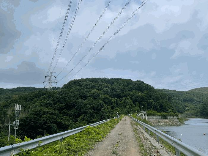경상남도 의령군 대의면 심지리 산119 임야 경매 사진 5