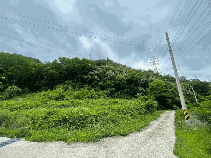 경상남도 의령군 대의면 심지리 산119 임야 경매 사진 8