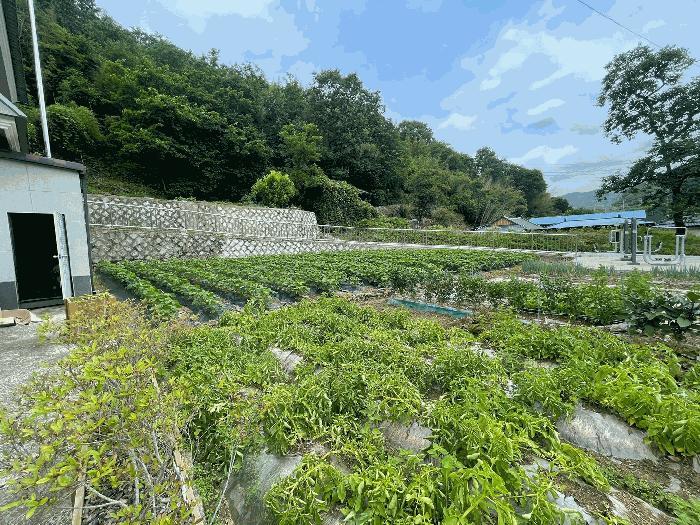 경상남도 의령군 대의면 천곡리 산78 임야 경매 사진 11